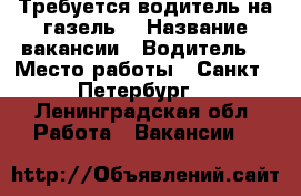 Требуется водитель на газель  › Название вакансии ­ Водитель  › Место работы ­ Санкт - Петербург  - Ленинградская обл. Работа » Вакансии   